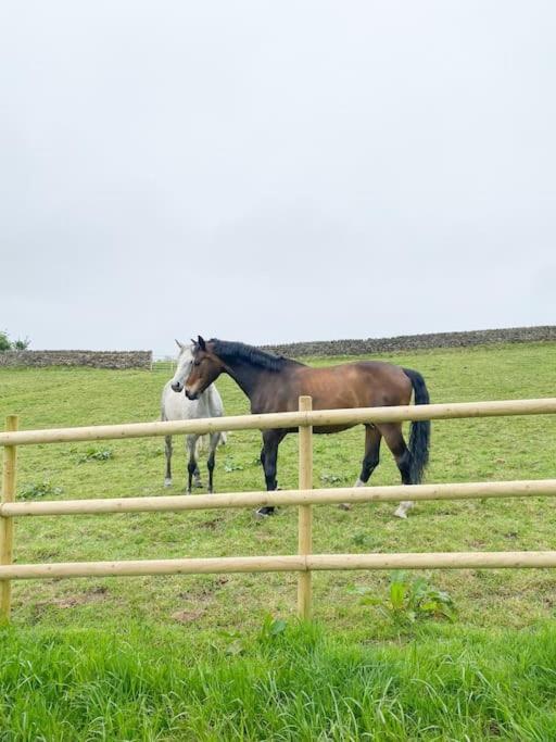 Luxury Detached Peak District Stone Barn - Dog Friendly Villa Hazelwood Buitenkant foto
