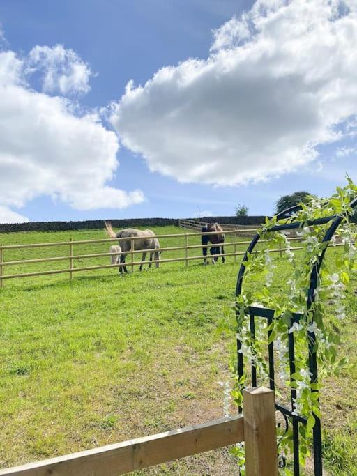 Luxury Detached Peak District Stone Barn - Dog Friendly Villa Hazelwood Buitenkant foto