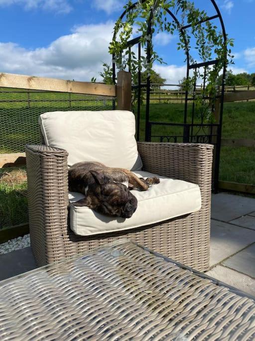 Luxury Detached Peak District Stone Barn - Dog Friendly Villa Hazelwood Buitenkant foto